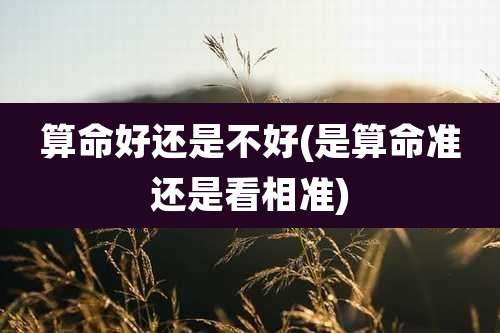 算命好还是不好(是算命准还是看相准)