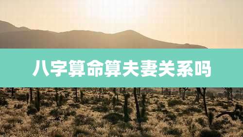 八字算命算夫妻关系吗