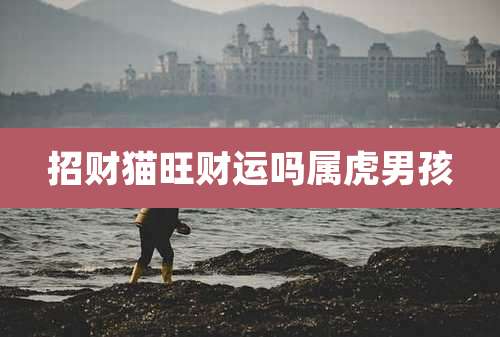 招财猫旺财运吗属虎男孩