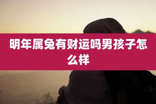 明年属兔有财运吗男孩子怎么样