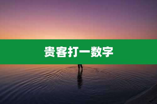 贵客打一数字