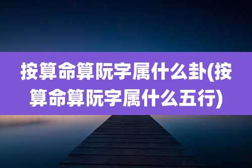 按算命算阮字属什么卦(按算命算阮字属什么五行)