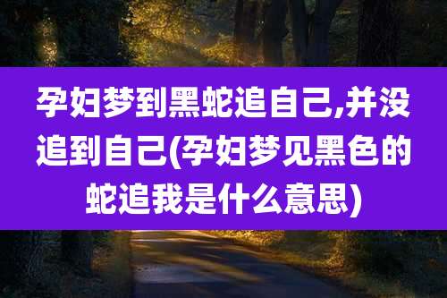 孕妇梦到黑蛇追自己,并没追到自己(孕妇梦见黑色的蛇追我是什么意思)
