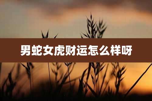 男蛇女虎财运怎么样呀