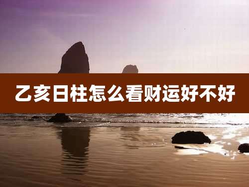 乙亥日柱怎么看财运好不好