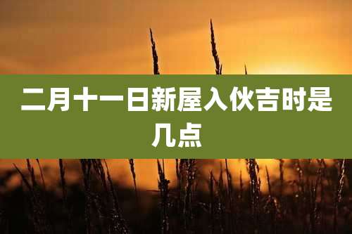 二月十一日新屋入伙吉时是几点