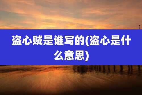 盗心贼是谁写的(盗心是什么意思)