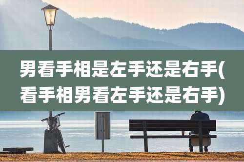 男看手相是左手还是右手(看手相男看左手还是右手)