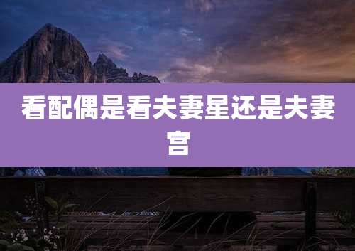 看配偶是看夫妻星还是夫妻宫