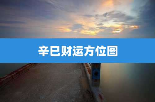 辛巳财运方位图