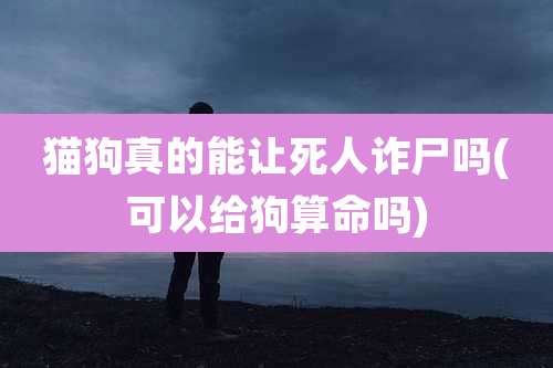 猫狗真的能让死人诈尸吗(可以给狗算命吗)