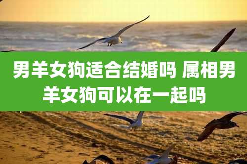 男羊女狗适合结婚吗 属相男羊女狗可以在一起吗