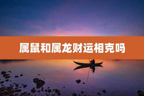 属鼠和属龙财运相克吗