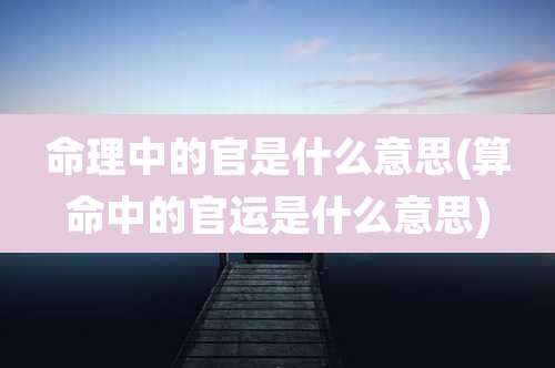 命理中的官是什么意思(算命中的官运是什么意思)