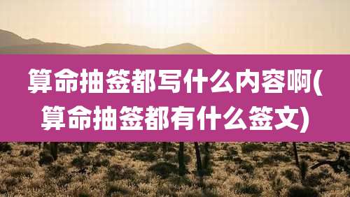 算命抽签都写什么内容啊(算命抽签都有什么签文)