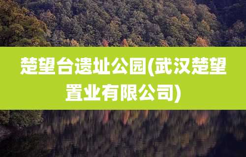 楚望台遗址公园(武汉楚望置业有限公司)