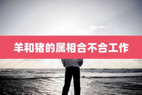 羊和猪的属相合不合工作