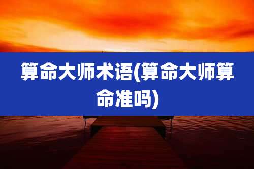 算命大师术语(算命大师算命准吗)