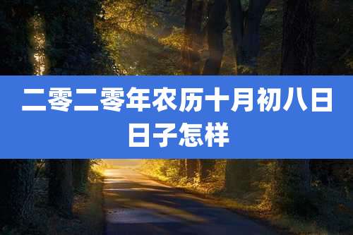 二零二零年农历十月初八日日子怎样