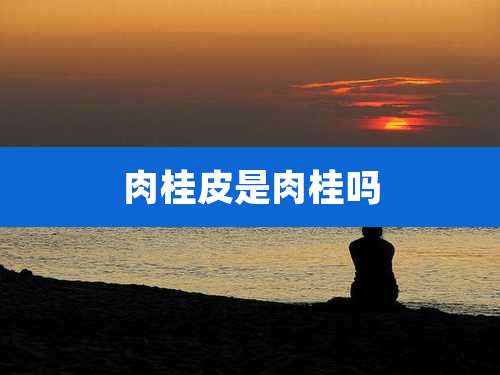 肉桂皮是肉桂吗