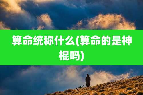 算命统称什么(算命的是神棍吗)