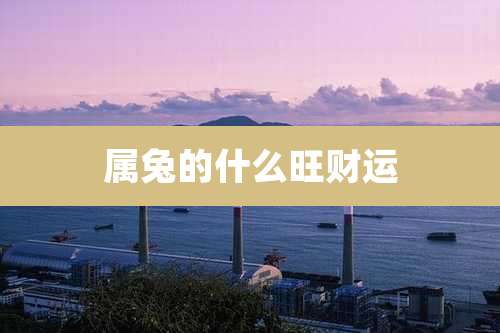 属兔的什么旺财运