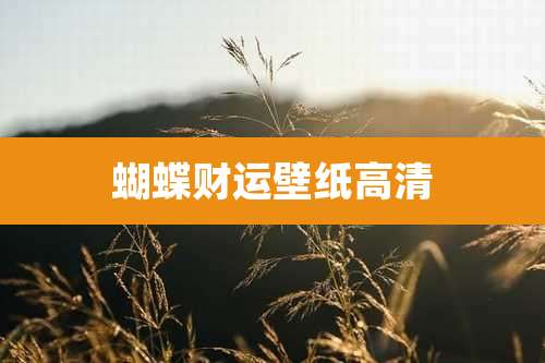 蝴蝶财运壁纸高清