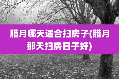 腊月哪天适合扫房子(腊月那天扫房日子好)