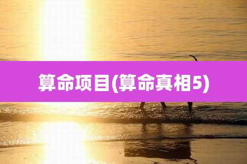 算命项目(算命真相5)