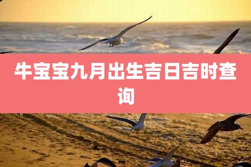 牛宝宝九月出生吉日吉时查询