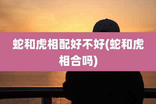 蛇和虎相配好不好(蛇和虎相合吗)