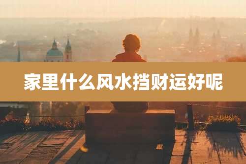 家里什么风水挡财运好呢