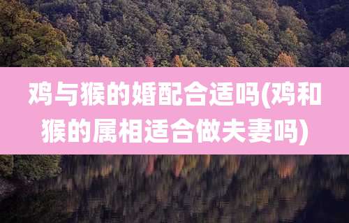 鸡与猴的婚配合适吗(鸡和猴的属相适合做夫妻吗)