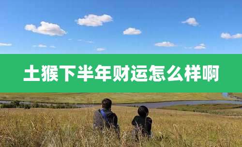 土猴下半年财运怎么样啊