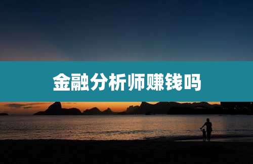 金融分析师赚钱吗