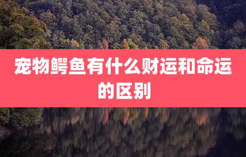 宠物鳄鱼有什么财运和命运的区别