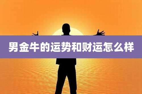 男金牛的运势和财运怎么样