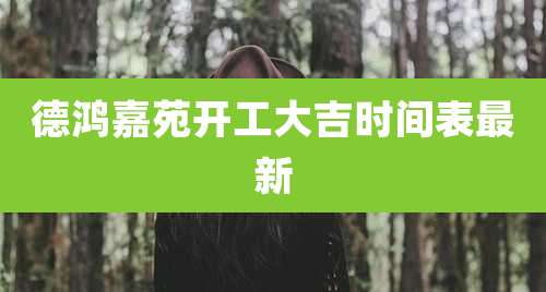 德鸿嘉苑开工大吉时间表最新