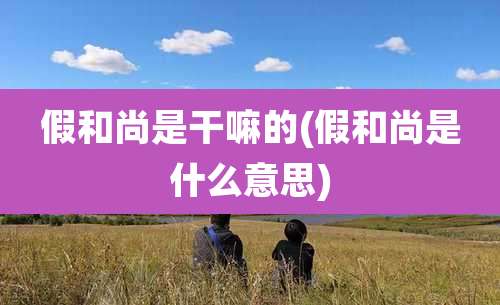 假和尚是干嘛的(假和尚是什么意思)