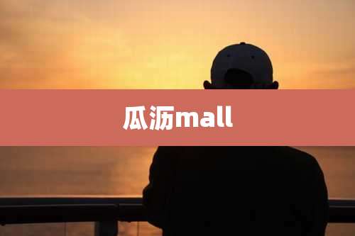 瓜沥mall