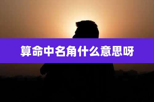 算命中名角什么意思呀