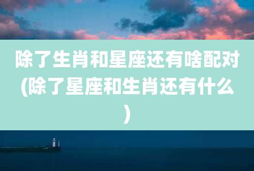 除了生肖和星座还有啥配对(除了星座和生肖还有什么)