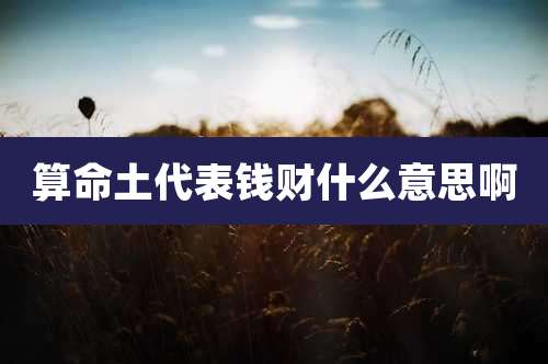 算命土代表钱财什么意思啊
