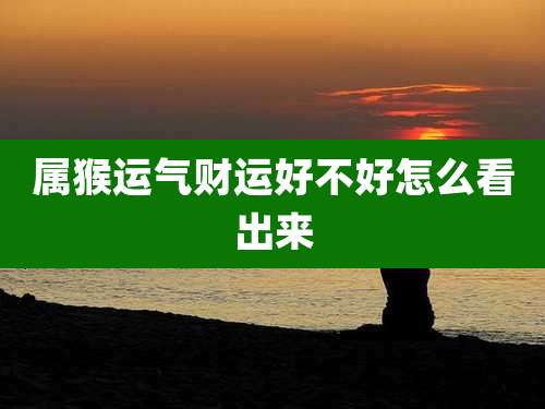 属猴运气财运好不好怎么看出来