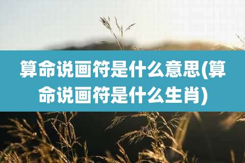 算命说画符是什么意思(算命说画符是什么生肖)