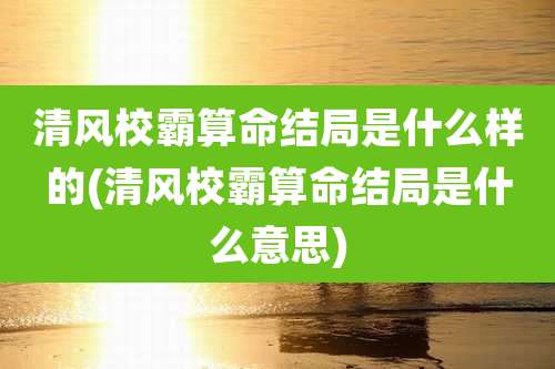 清风校霸算命结局是什么样的(清风校霸算命结局是什么意思)