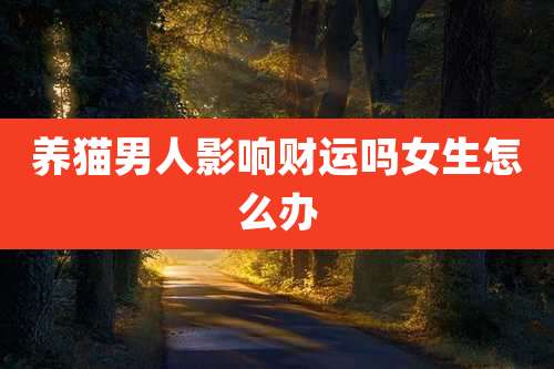 养猫男人影响财运吗女生怎么办