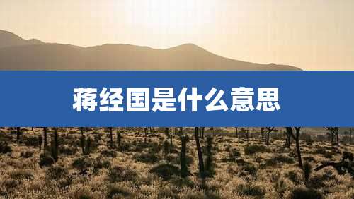 蒋经国是什么意思