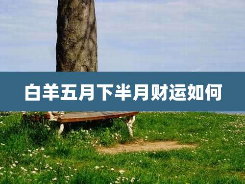 白羊五月下半月财运如何
