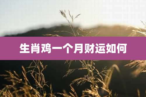 生肖鸡一个月财运如何